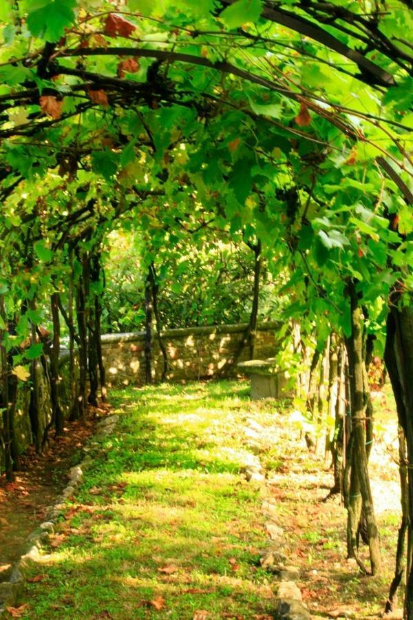 Villa Storica Di Majano Баньйо-а-Ріполі Екстер'єр фото
